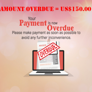Overdue Payment Notice